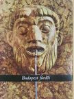 Csörnyei Sándor - Budapest fürdői [antikvár]