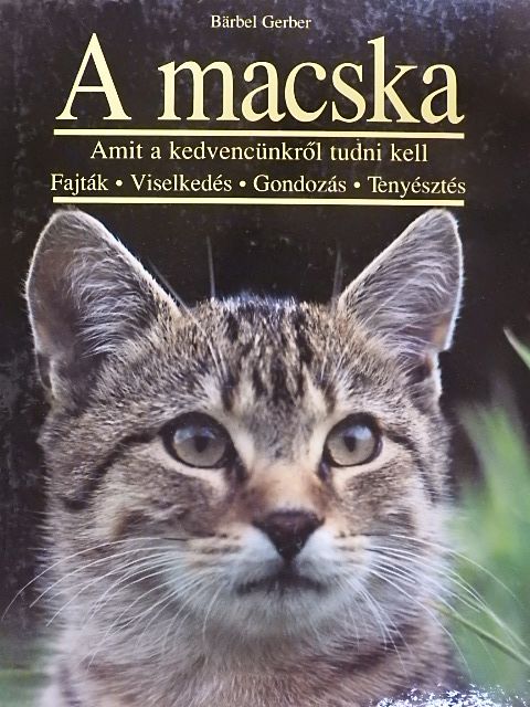 Bärbel Gerber - A macska [antikvár]