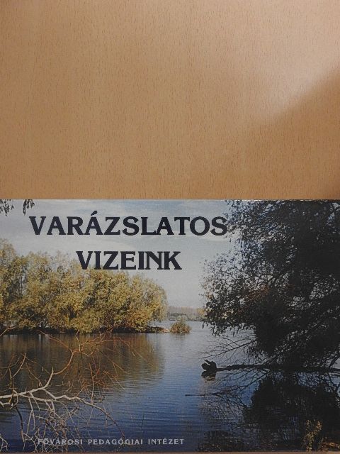 Ady Endre - Varázslatos vizeink [antikvár]