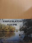 Ady Endre - Varázslatos vizeink [antikvár]