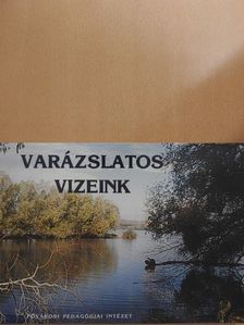 Ady Endre - Varázslatos vizeink [antikvár]