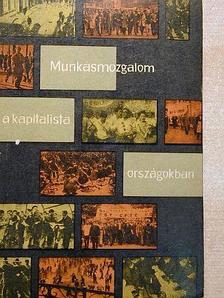 A. I. Kalinyin - Munkásmozgalom a kapitalista országokban (1959-1961) [antikvár]