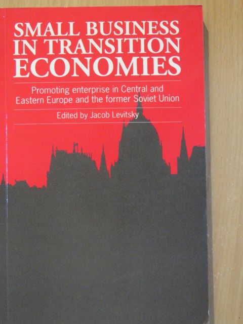 Allan Gibb - Small Business in Transition Economies [antikvár]
