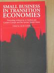 Allan Gibb - Small Business in Transition Economies [antikvár]