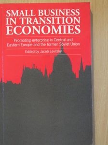 Allan Gibb - Small Business in Transition Economies [antikvár]