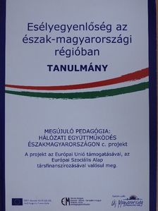 Esélyegyenlőség az észak-magyarországi régióban [antikvár]