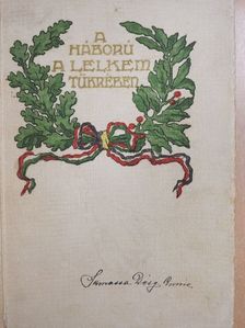 Samassa Désy Annie - A háború a lelkem tükrében [antikvár]