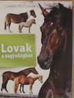 Cynthia McFarland - Lovak a nagyvilágban [antikvár]