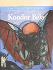 Sinkovits Péter - Kondor Béla [antikvár]