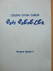 Cselényi István Gábor - Szót szerelek [antikvár]
