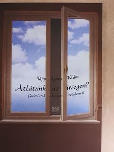 Papp Ágnes Klára - Átlátunk az üvegen? [antikvár]