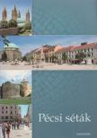 Nagy János Ádám, Ledniczky Lívia - Pécsi séták [antikvár]