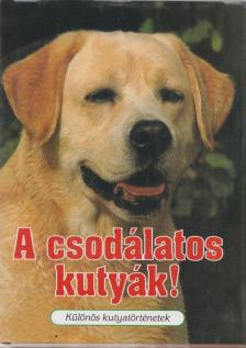 Veress István - A csodálatos kutyák! [antikvár]
