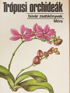 Dr. Sulyok Mária - Trópusi orchideák [antikvár]