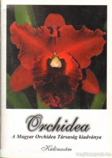 Orchidea [antikvár]