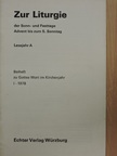 Christophorus Hildebrandt - Zur Liturgie der Sonn- und Festtage [antikvár]