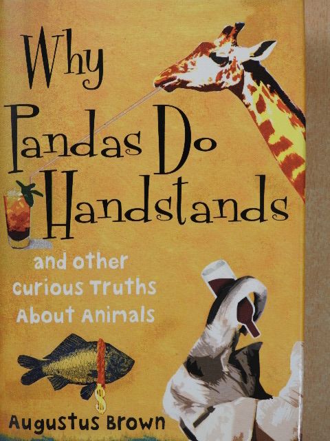 Augustus Brown - Why pandas do handstands [antikvár]