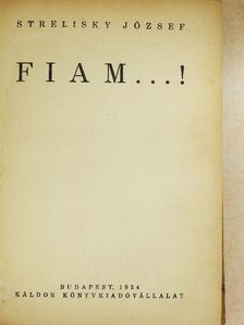 Strelisky József - Fiam...! [antikvár]