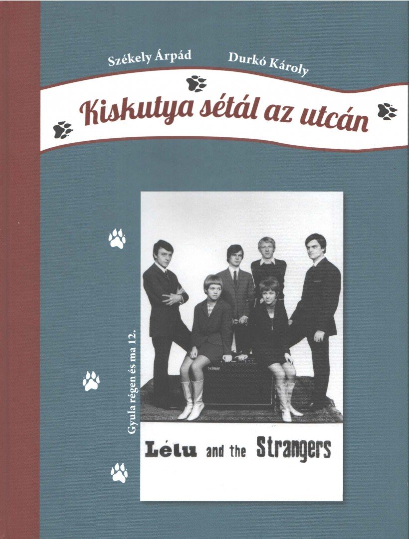 Székely Árpád, Durkó Károly - Kiskutya sétál az utcán [antikvár]