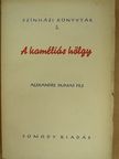Alexandre Dumas Fils - A kaméliás hölgy [antikvár]