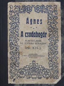 Kis J. - Ágnes/A csodabogár [antikvár]