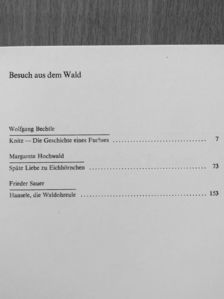 Frieder Sauer - Besuch aus dem Wald [antikvár]