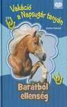 Wandel, Andrea - Barátból ellenség [antikvár]