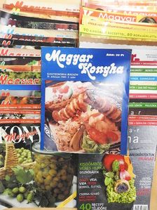 Magyar konyha 1980, 1981, 1983-1985, 1987-1989, 1991, 1993, 1996, 1997, 2002-2005, 2007-2009, 2011-2014 (vegyes számok) (41db) [antikvár]