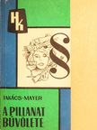 Dr. Mayer Béla - A pillanat bűvölete [antikvár]