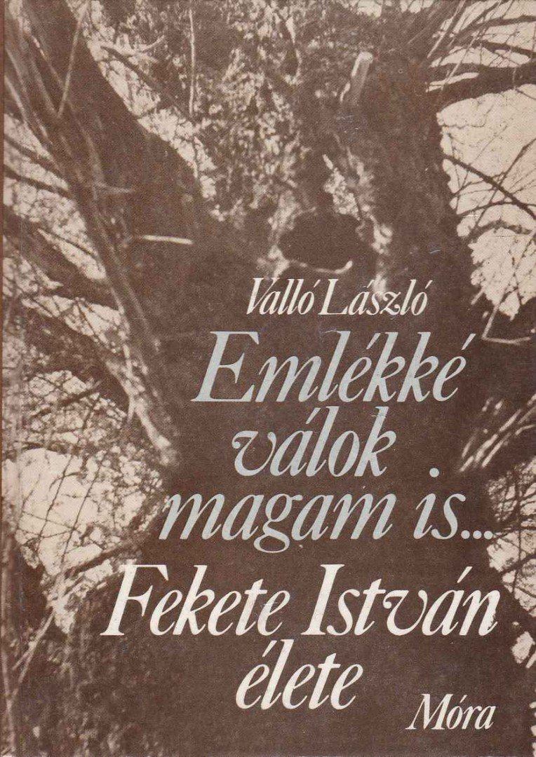 VALLÓ LÁSZLÓ - Emlékké válok magam is... [antikvár]