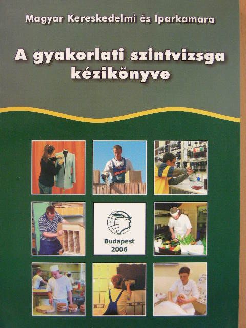 Banczik Györgyné - A gyakorlati szintvizsga kézikönyve [antikvár]