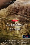 Cassandra Clare, Robin Wasserman - Az imádott gonosz [antikvár]