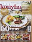 Tina Konyha 2008/9 [antikvár]