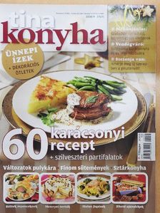 Tina Konyha 2008/9 [antikvár]