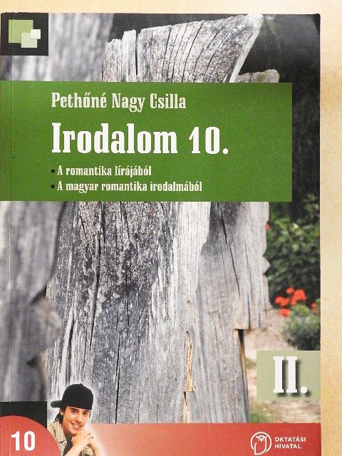 Pethőné Nagy Csilla - Irodalom 10. II. [antikvár]