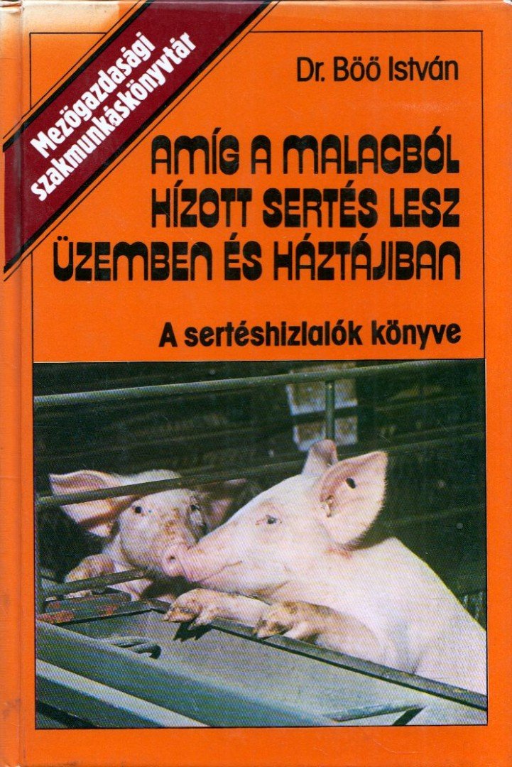 Dr. Böő István - Amíg a malacból hízott sertés lesz üzemben és háztájban [antikvár]