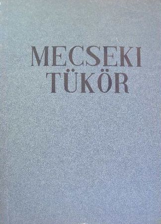 Andik István - Mecseki tükör [antikvár]