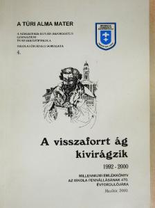 Árvai Gyula - A visszaforrt ág kivirágzik 1992-2000 [antikvár]