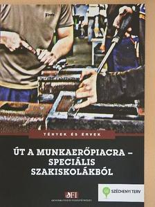 Mártonfi György - Út a munkaerőpiacra - speciális szakiskolákból [antikvár]