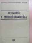 Berde Éva - Bevezetés a makroökonómiába [antikvár]