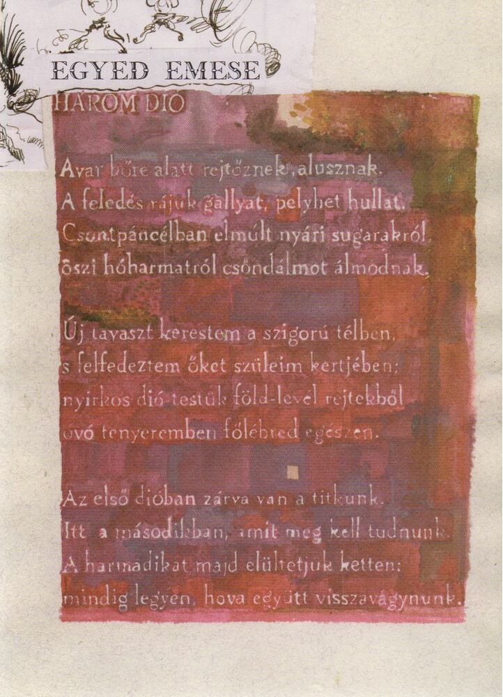 Egyed Emese - Három dió [antikvár]