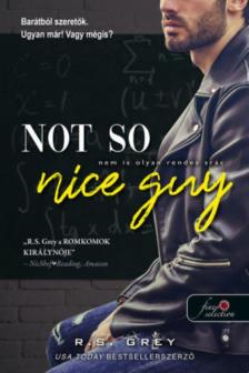 R.S. Grey - Not So Nice Guy - Nem is olyan rendes srác [antikvár]