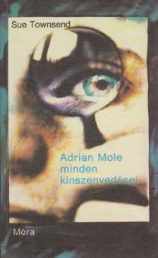 Sue Townsend - Adrian Mole minden kínszenvedései [antikvár]