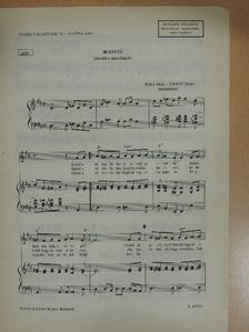 S. Nagy István - Iránytű [antikvár]