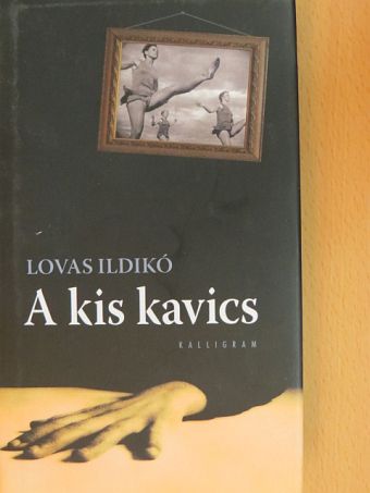 Lovas Ildikó - A kis kavics [antikvár]