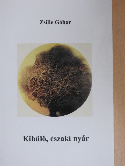 Zsille Gábor - Kihűlő, északi nyár [antikvár]