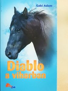 Gabi Adam - Diablo a viharban [antikvár]