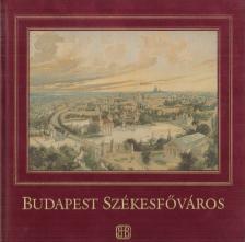 Buzinkay Géza - Budapest székesfőváros [antikvár]