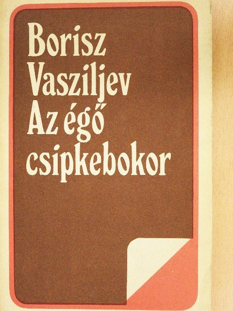 Borisz Vasziljev - Az égő csipkebokor [antikvár]