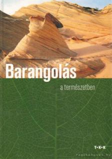 Csatlósné Miklós Anna - Barangolás a természetben [antikvár]